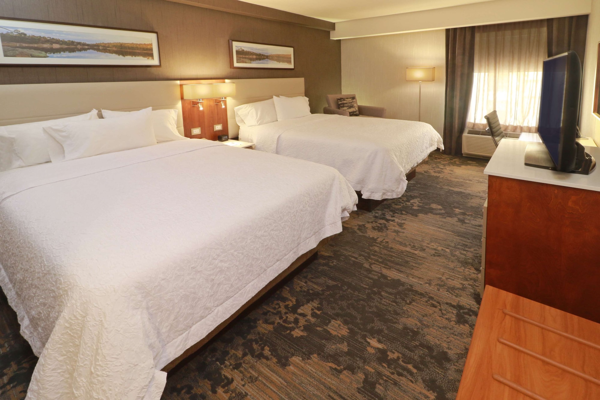 hampton by hilton chihuahua