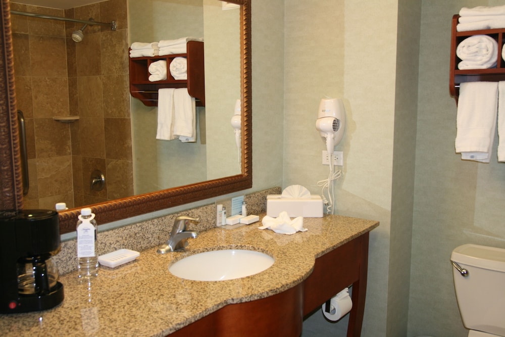 hampton by hilton chihuahua