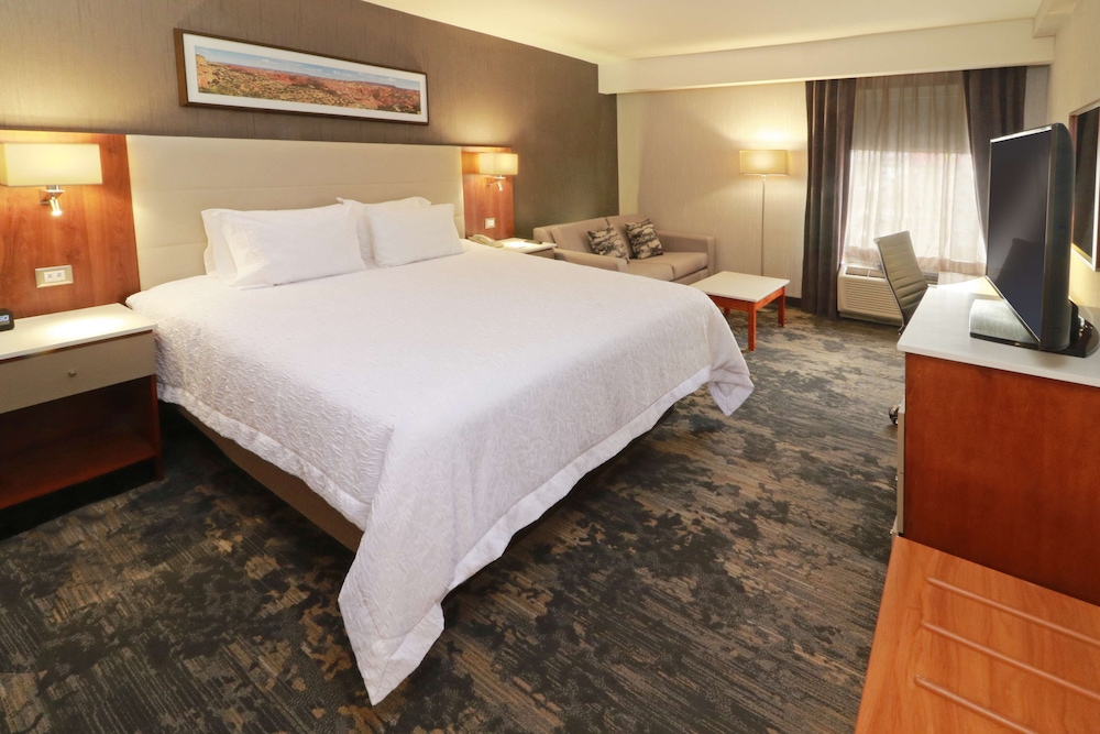 hampton by hilton chihuahua