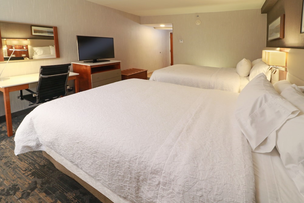 hampton by hilton chihuahua