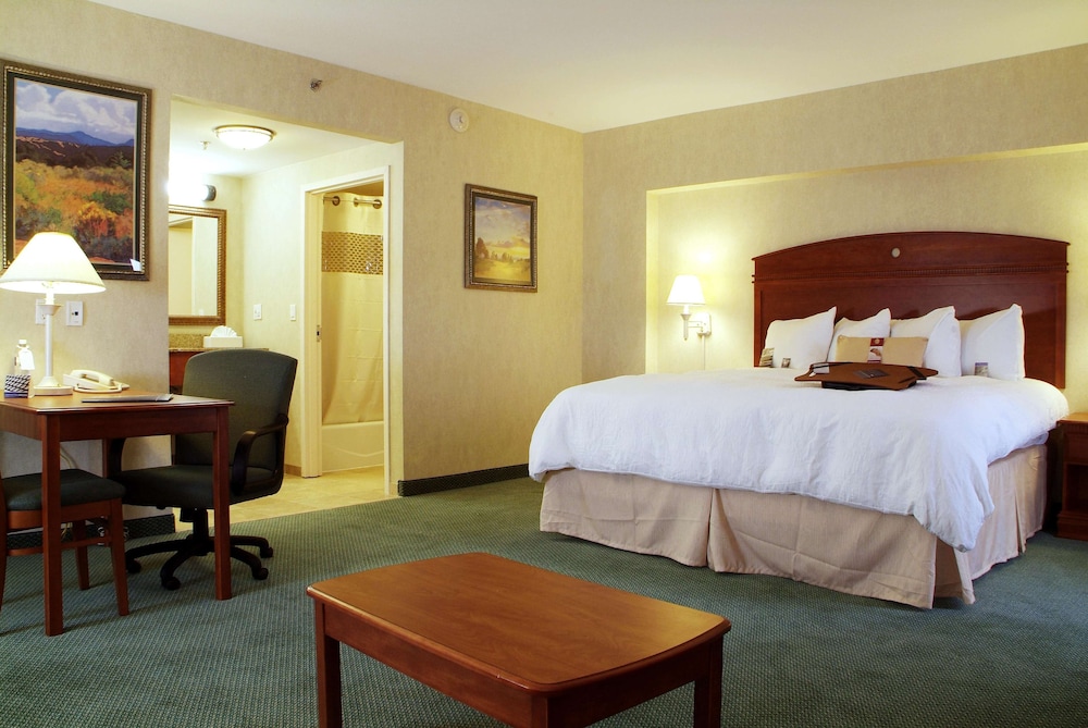 hampton by hilton chihuahua