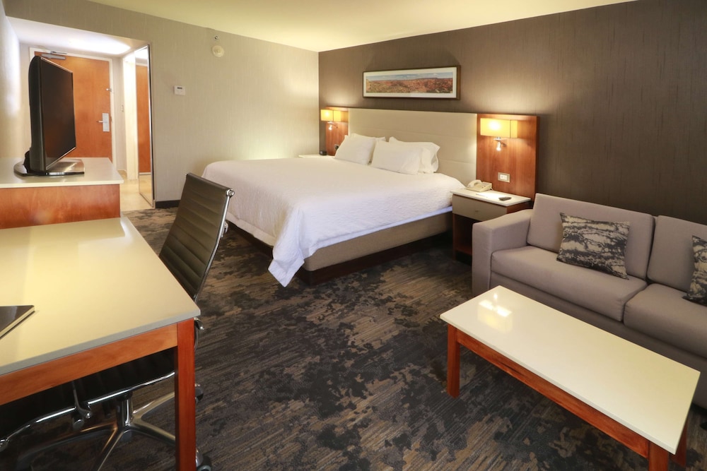 hampton by hilton chihuahua