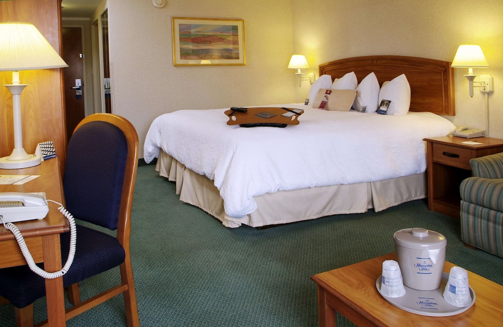 hampton by hilton chihuahua