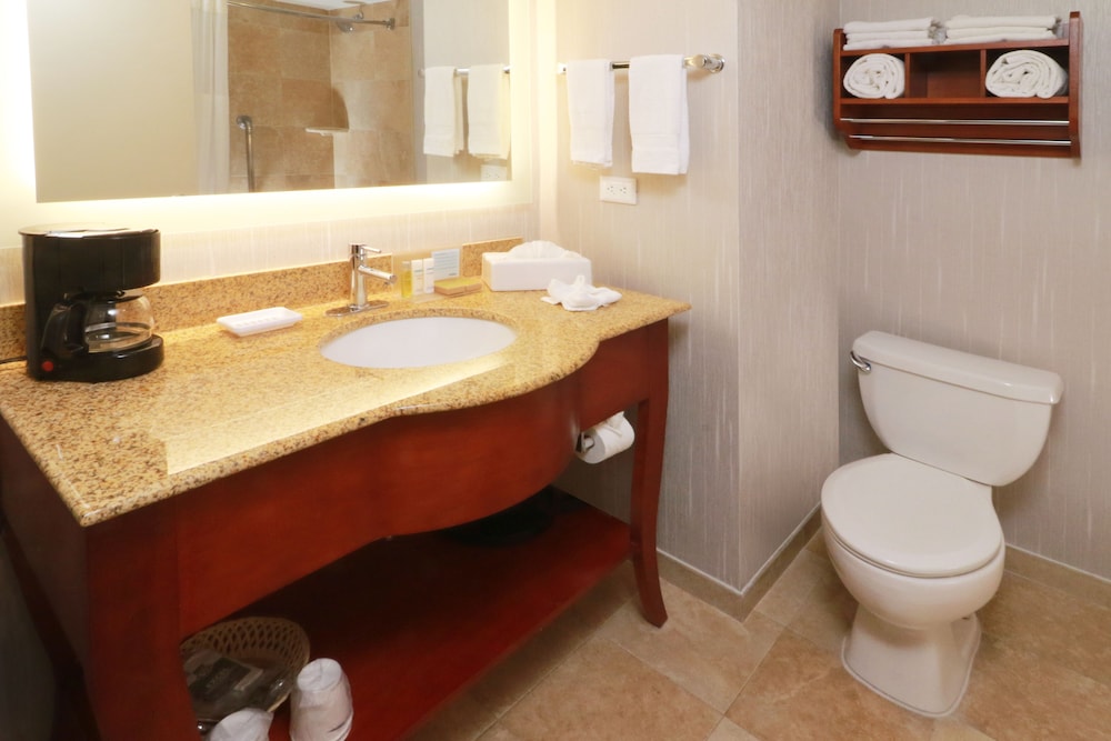 hampton by hilton chihuahua