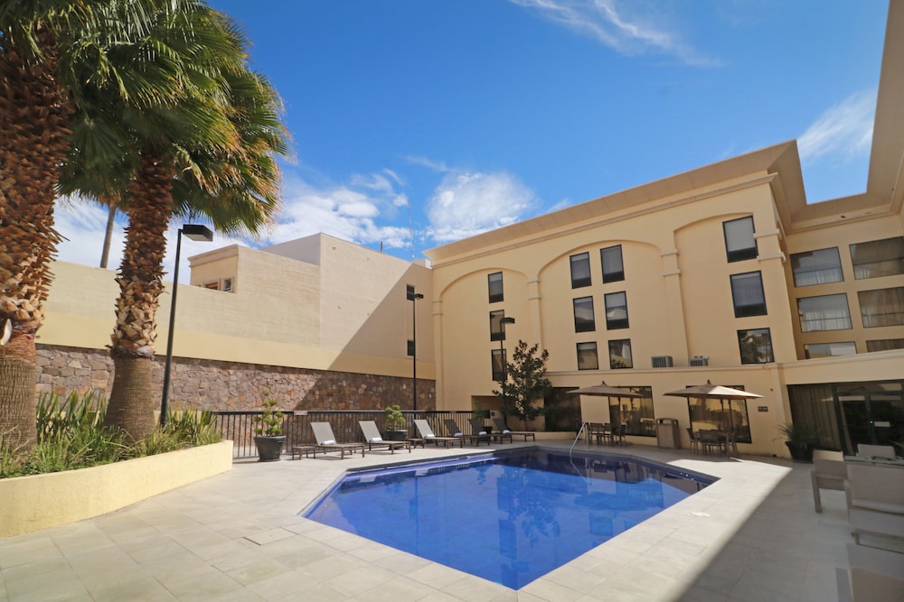 hampton by hilton chihuahua