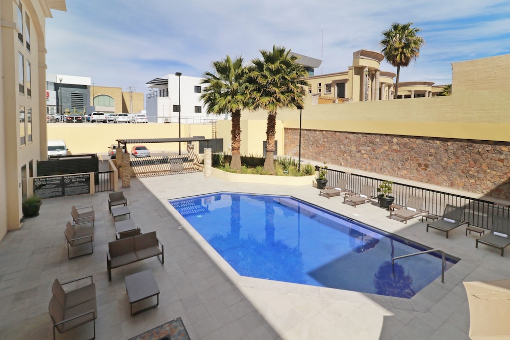 hampton by hilton chihuahua