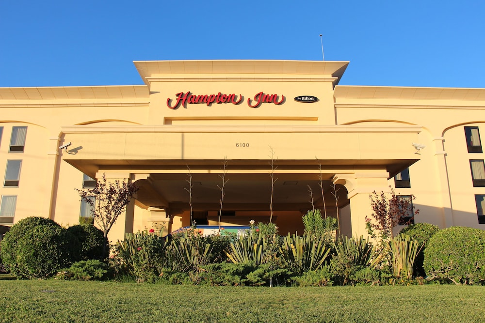 hampton by hilton chihuahua