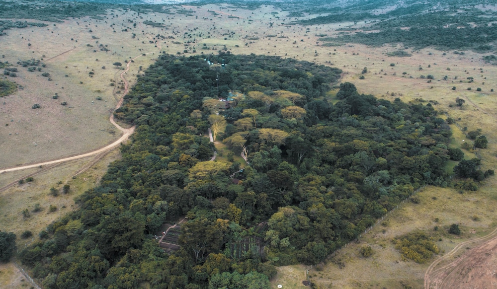 sarova mara game camp