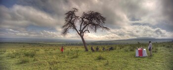 sarova mara game camp