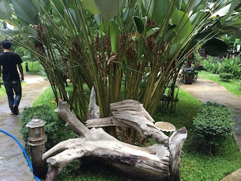 the sylvana pai boutique resort