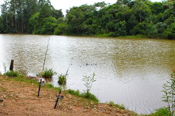 hotel fazenda piramides