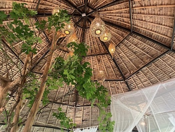 house of love at pai