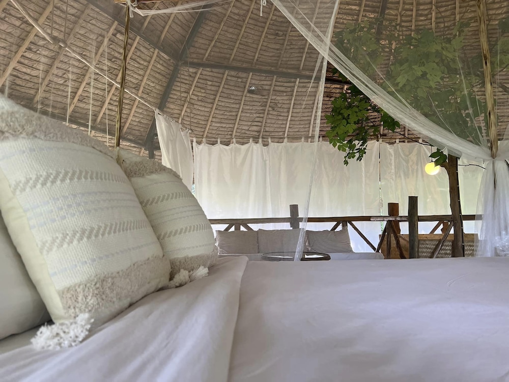 house of love at pai
