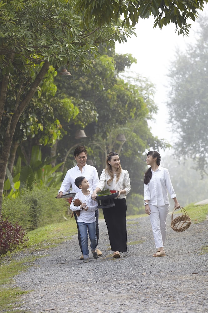 house of love at pai