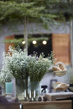 house of love at pai