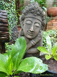 baan baimai boutique room