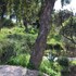 villa nais