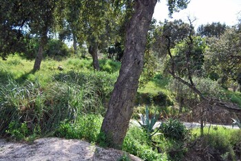 villa nais