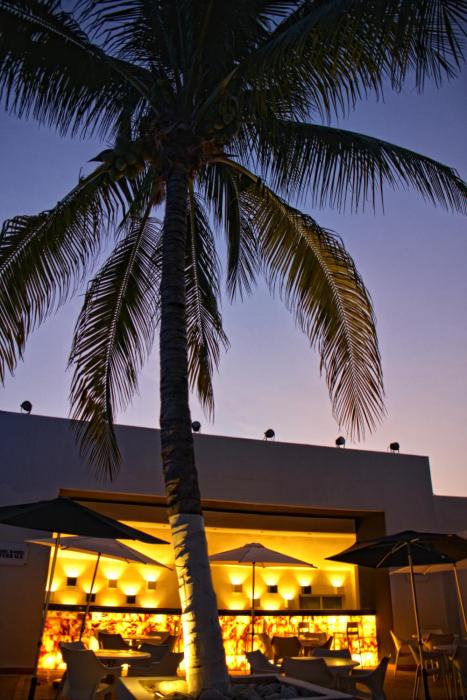 oh cancun the urban oasis and beach club adults only