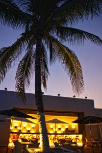 oh cancun the urban oasis and beach club adults only