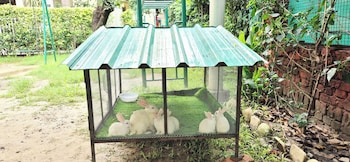 la savanna resort and spa by dl hotels and resorts