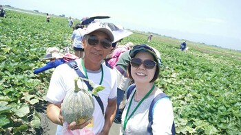 wujie