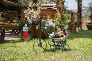 bandb la casa nel giardino