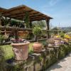 bandb la casa nel giardino