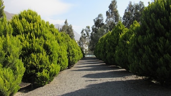 pacaran