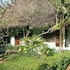 kilifi