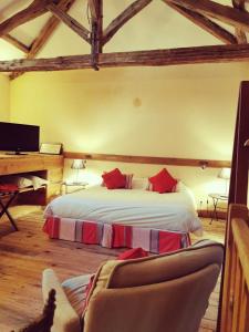 lussac les chateaux
