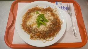 copaiba palace hotel