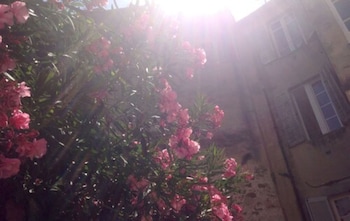 Chanteclair Hotel,French Riviera>>Cannes,1 star