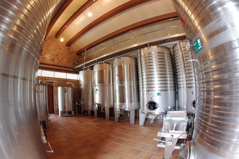 enoturismo y bodega lagar de costa