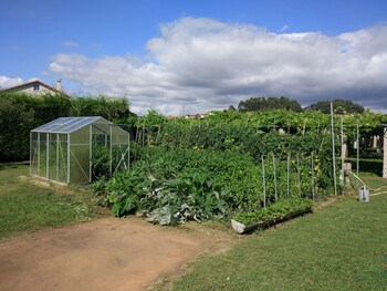 enoturismo y bodega lagar de costa