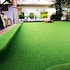 blossoming romduol boutique hostel