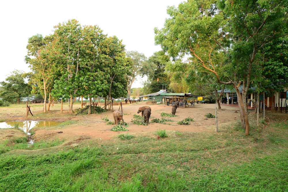 udawalawa