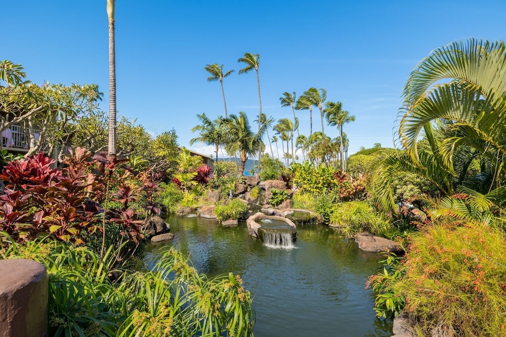 napili shores g154 ocean view studio condo by redawning