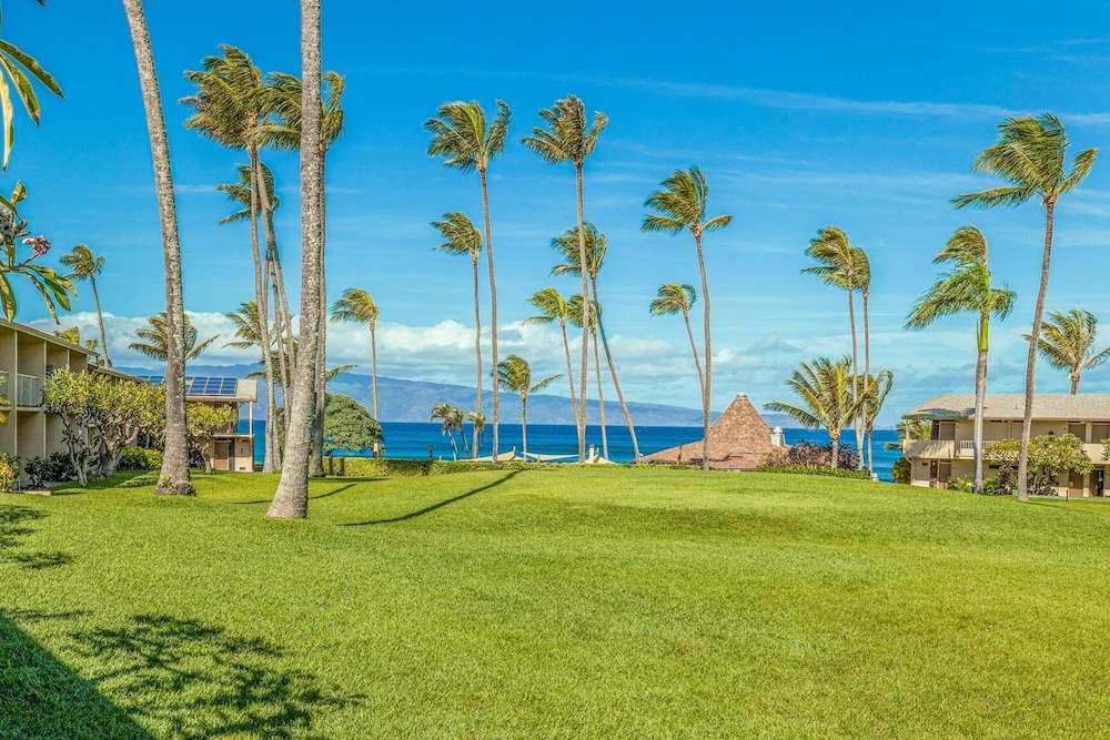 napili shores g154 ocean view studio condo by redawning