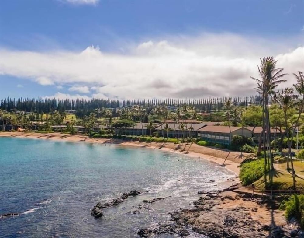 napili shores g154 ocean view studio condo by redawning