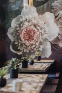 hotel prince albert gare de lyon