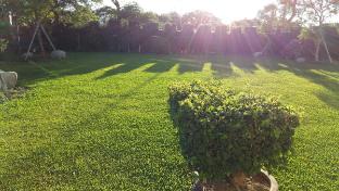 summer moonlight vacation house