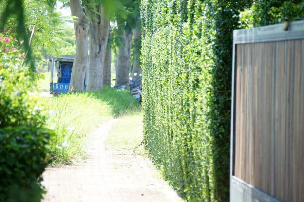 summer moonlight vacation house