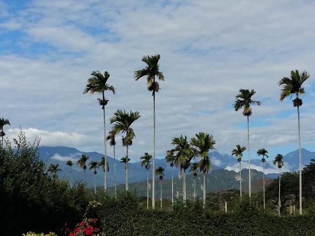 summer moonlight vacation house