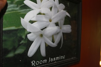 natures bliss holidays