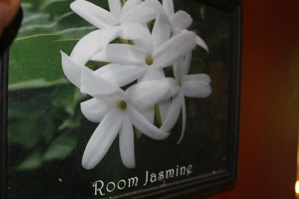 natures bliss holidays