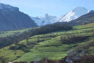 cabrales