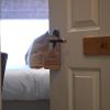 the bell hotel saxmundham