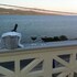 lefkada