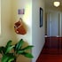 kiwi heritage homestay